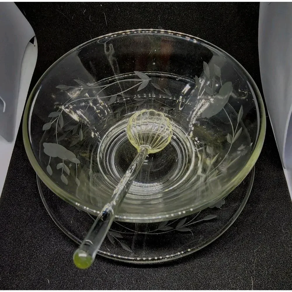 Vtg Princess House Crystal Etched Condiment Bowl plate Scalloped Spoon New w Box